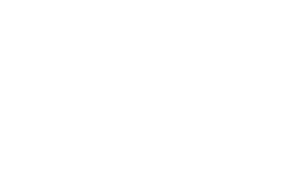 logo nmi